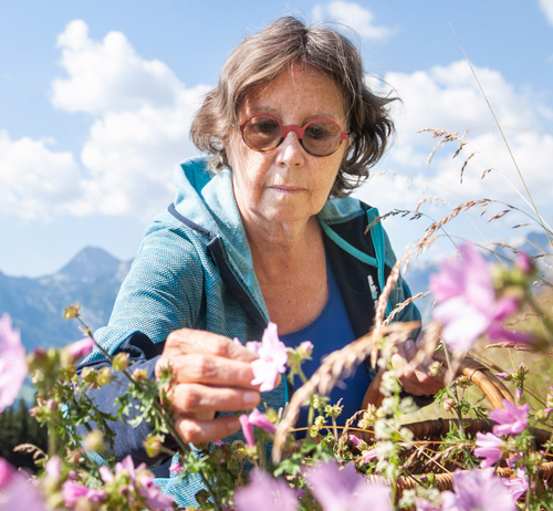 Reneé Schröder